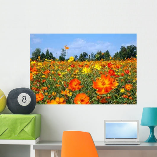 Field Wildflowers Wall Decal Design 1