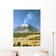 Active Snowcapped Popocatepetl Volcano Wall Decal Design 3
