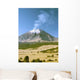 Active Snowcapped Popocatepetl Volcano Wall Decal Design 3