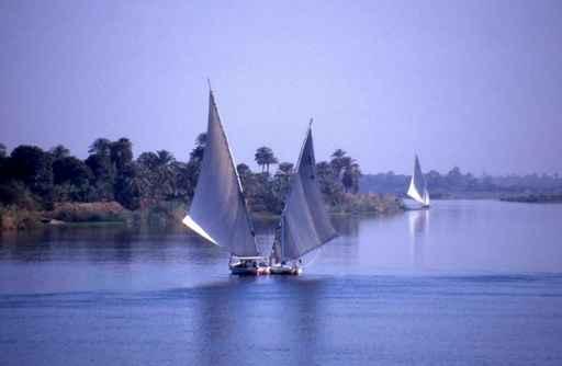 Morning Idyll Nile Wall Decal
