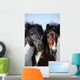 Couple Horses Grassland Wall Mural
