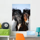 Couple Horses Grassland Wall Mural