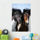Couple Horses Grassland Wall Mural