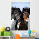 Couple Horses Grassland Wall Mural