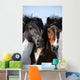Couple Horses Grassland Wall Mural