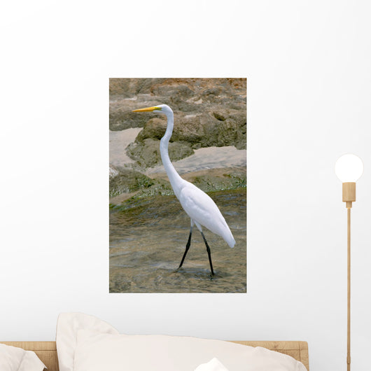 White Heron Ardea Herodias Wall Mural