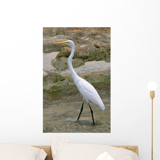 White Heron Ardea Herodias Wall Mural