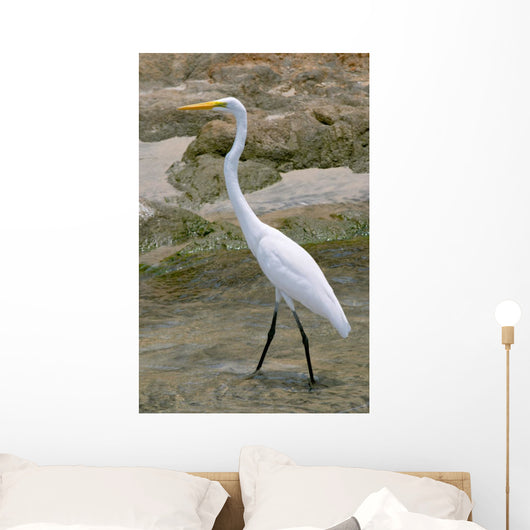 White Heron Ardea Herodias Wall Mural