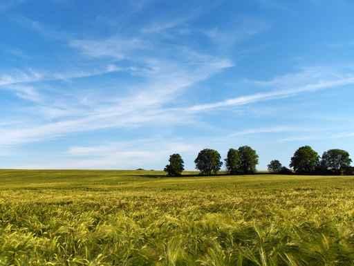 Landscape Vexin 02 Wall Decal