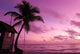 Caribbean Sunset Wall Decal