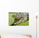 Krokodil Wall Mural