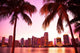 Miami Florida Pink Skyline and Palm Trees Wall Decal