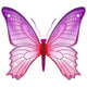 Pink Butterfly Wall Decal