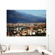 Caracas Wall Mural