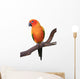 Sun Conure Parrot Sitting on Wooden Perch Wall Decal