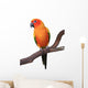 Sun Conure Parrot Sitting on Wooden Perch Wall Decal