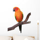 Sun Conure Parrot Sitting on Wooden Perch Wall Decal