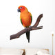 Sun Conure Parrot Sitting on Wooden Perch Wall Decal