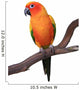 Sun Conure Parrot Sitting on Wooden Perch Wall Decal