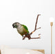 Green Cheek Conure on a Tree Branch Wall Decal
