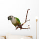 Green Cheek Conure on a Tree Branch Wall Decal