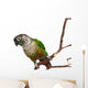 Green Cheek Conure on a Tree Branch Wall Decal