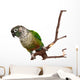Green Cheek Conure on a Tree Branch Wall Decal