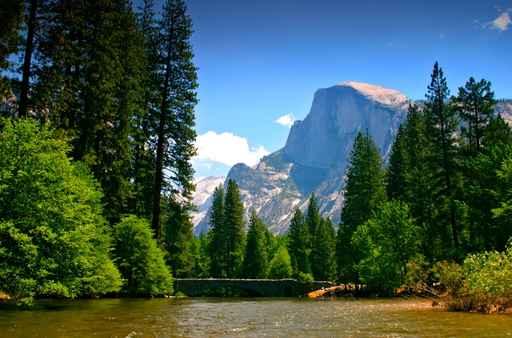 Merced River Wall Decal