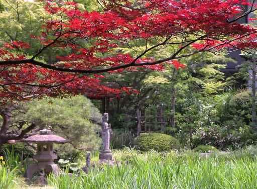 Early Autumn Japanese Garden Wall Decal