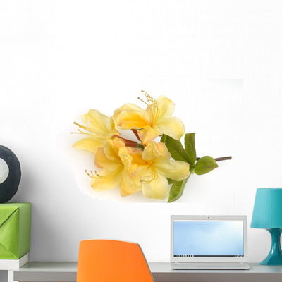 Azalea Blossoms Knaphill Wall Decal shown on a wall