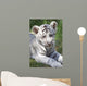 White tiger cub Wall Mural