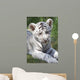White tiger cub Wall Mural
