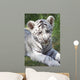 White tiger cub Wall Mural