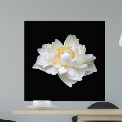 Lotus White Flowers W Wall Mural shown on a wall