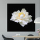 Lotus (white flowers W) Wall Mural