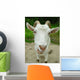 Goat Wall Mural