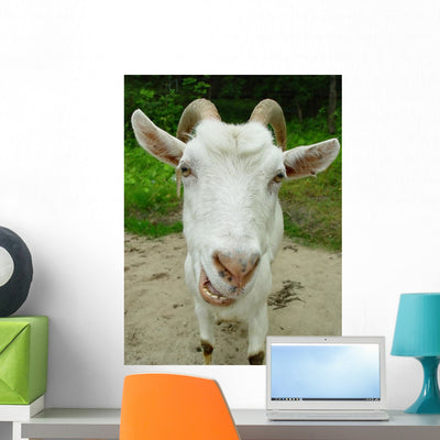 Goat Wall Mural shown on a wall