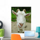 Goat Wall Mural
