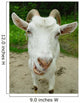 Goat Wall Mural