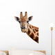Giraffe Portrait Wall Decal