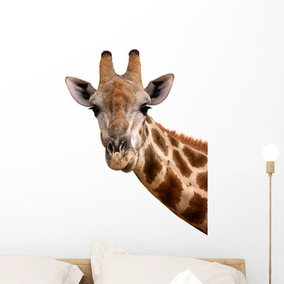 Giraffe Portrait Wall Decal shown on a wall