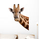 Giraffe Portrait Wall Decal