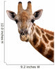 Giraffe Portrait Wall Decal