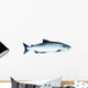 Watercolor Salmon Fish Wall Decal