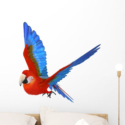 Parrot Wall Decal shown on a wall