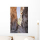 Samaria Wall Decal