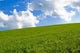 Prairie Wall Decal Design 5