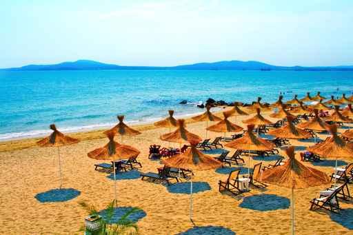 Straw Umbrellas Peaceful Beach Wall Decal