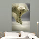 Arctic Fox Hunting Snow Wall Decal