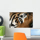 eye of the tiger Wall Mural